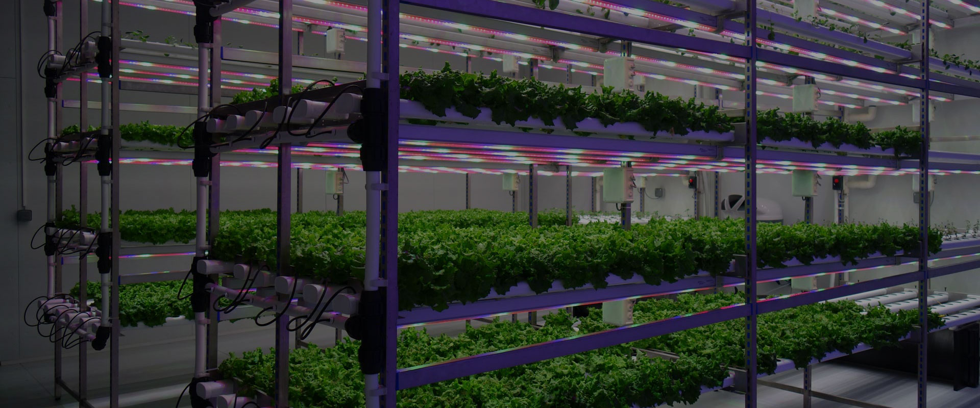 Vertical Farming